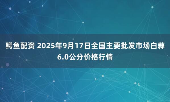 鳄鱼配资 2025年9月17日全国主要批发市场白蒜6.0公分价格行情