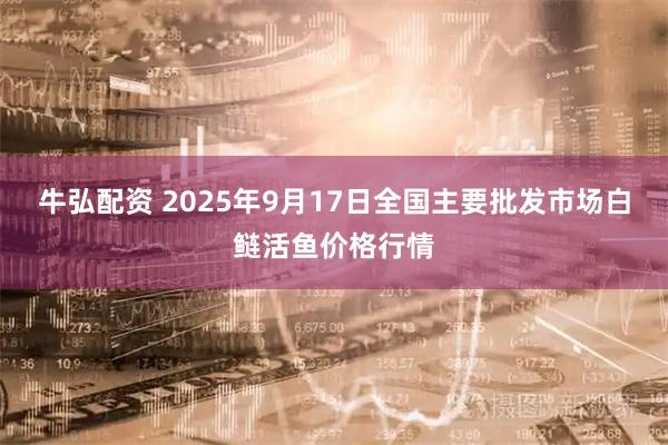 牛弘配资 2025年9月17日全国主要批发市场白鲢活鱼价格行情