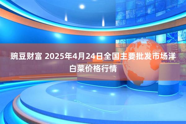豌豆财富 2025年4月24日全国主要批发市场洋白菜价格行情