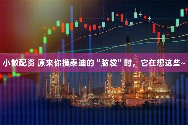 小散配资 原来你摸泰迪的“脑袋”时，它在想这些~