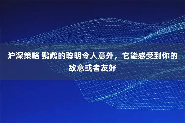 沪深策略 鹦鹉的聪明令人意外，它能感受到你的敌意或者友好