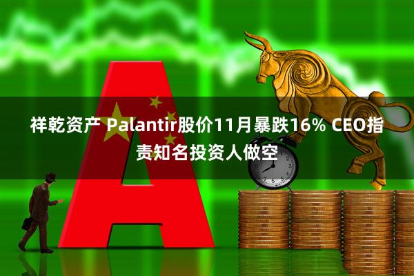 祥乾资产 Palantir股价11月暴跌16% CEO指责知名投资人做空