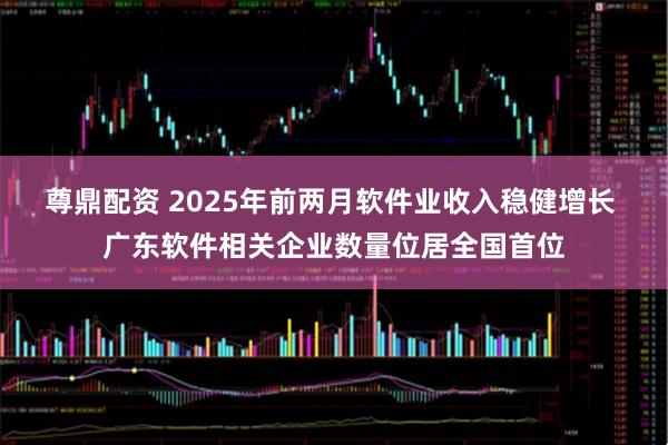 尊鼎配资 2025年前两月软件业收入稳健增长 广东软件相关企业数量位居全国首位