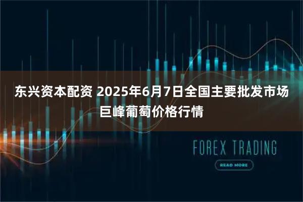 东兴资本配资 2025年6月7日全国主要批发市场巨峰葡萄价格行情