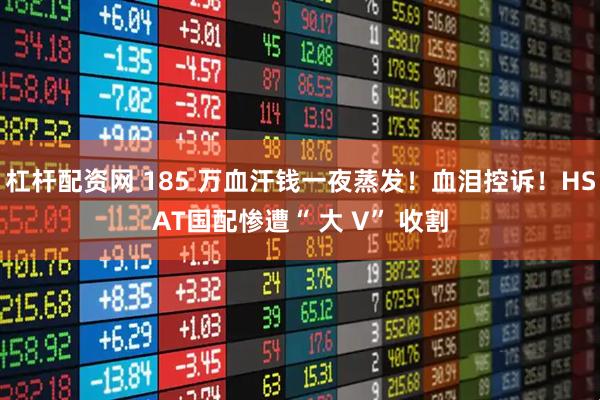 杠杆配资网 185 万血汗钱一夜蒸发！血泪控诉！HSAT国配惨遭“ 大 V” 收割