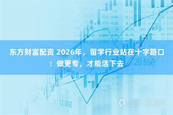 东方财富配资 2026年，留学行业站在十字路口：做更专，才能活下去