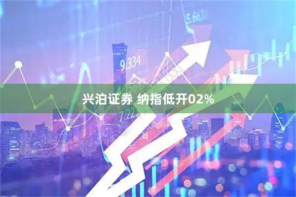 兴泊证券 纳指低开02%
