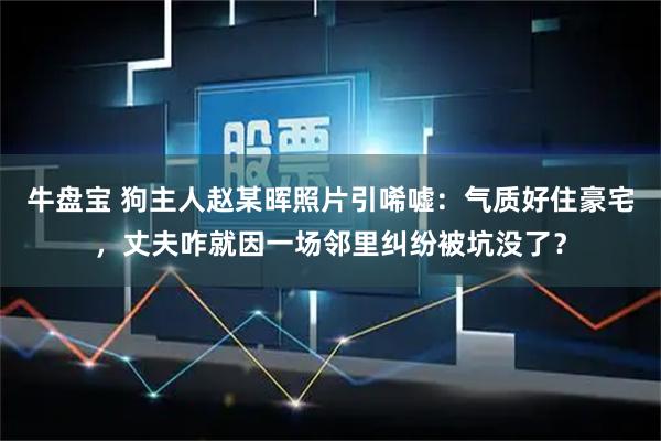 牛盘宝 狗主人赵某晖照片引唏嘘：气质好住豪宅，丈夫咋就因一场邻里纠纷被坑没了？